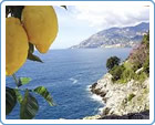 C�te De Sorrento